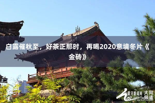 白露催秋至，好茶正那时，再喝2020意境冬片《金砖》