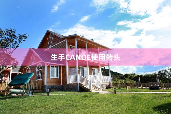 生手CANOE使用转头