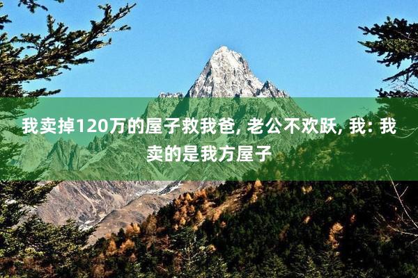 我卖掉120万的屋子救我爸, 老公不欢跃, 我: 我卖的是我方屋子