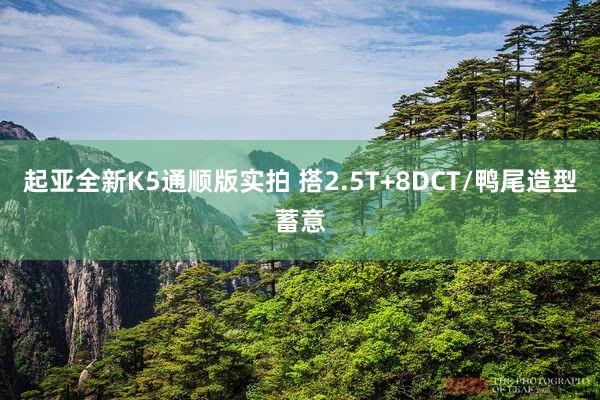 起亚全新K5通顺版实拍 搭2.5T+8DCT/鸭尾造型蓄意