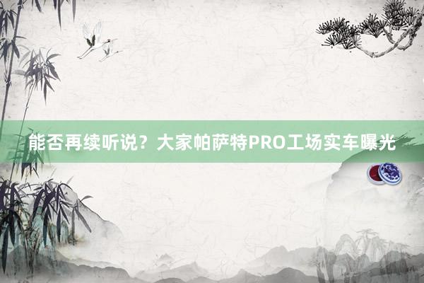 能否再续听说？大家帕萨特PRO工场实车曝光