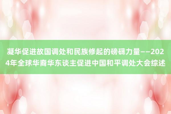凝华促进故国调处和民族修起的磅礴力量——2024年全球华裔华东谈主促进中国和平调处大会综述