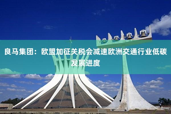 良马集团：欧盟加征关税会减速欧洲交通行业低碳发展进度