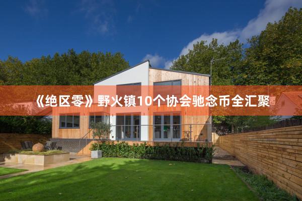《绝区零》野火镇10个协会驰念币全汇聚