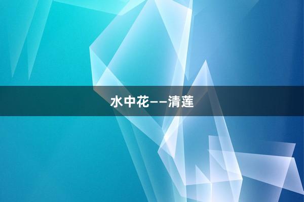 水中花——清莲