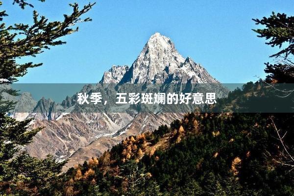 秋季，五彩斑斓的好意思
