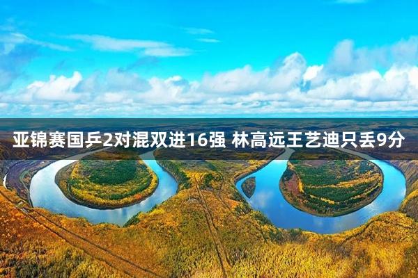 亚锦赛国乒2对混双进16强 林高远王艺迪只丢9分