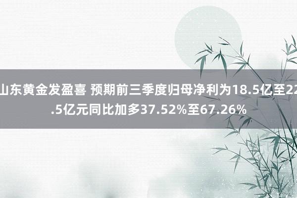 山东黄金发盈喜 预期前三季度归母净利为18.5亿至22.5亿元同比加多37.52%至67.26%