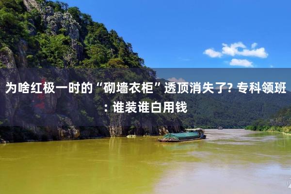 为啥红极一时的“砌墙衣柜”透顶消失了? 专科领班: 谁装谁白用钱