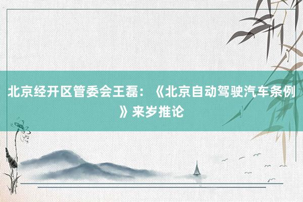 北京经开区管委会王磊：《北京自动驾驶汽车条例》来岁推论