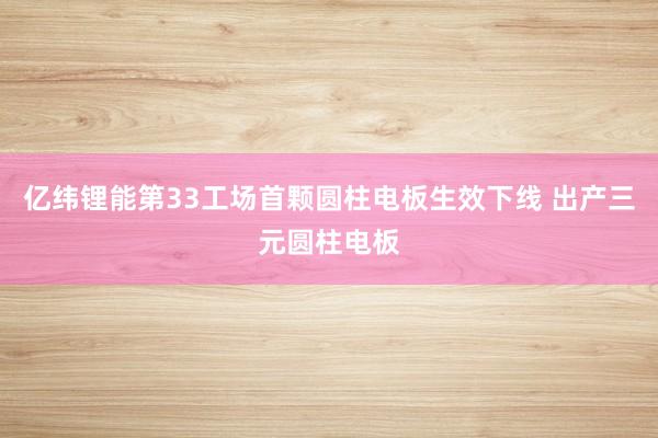 亿纬锂能第33工场首颗圆柱电板生效下线 出产三元圆柱电板