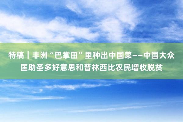 特稿｜非洲“巴掌田”里种出中国菜――中国大众匡助圣多好意思和普林西比农民增收脱贫