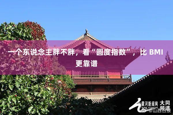 一个东说念主胖不胖，看“圆度指数”，比 BMI 更靠谱