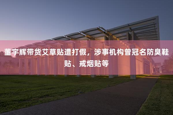 董宇辉带货艾草贴遭打假，涉事机构曾冠名防臭鞋贴、戒烟贴等