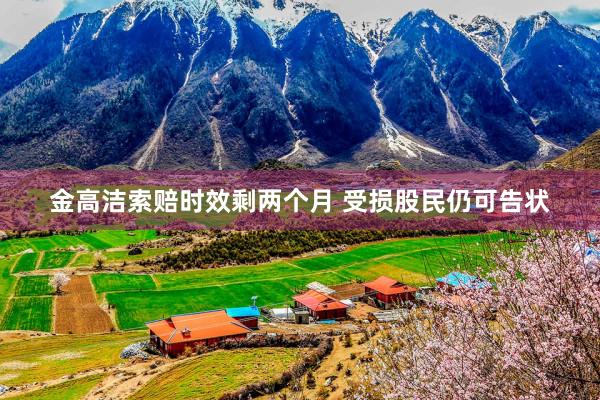 金高洁索赔时效剩两个月 受损股民仍可告状