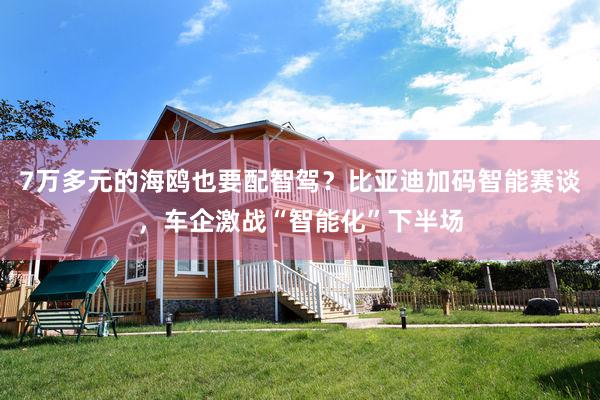 7万多元的海鸥也要配智驾？比亚迪加码智能赛谈，车企激战“智能化”下半场