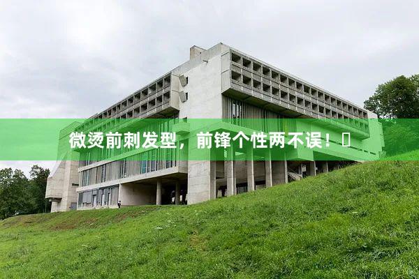 微烫前刺发型,前锋个性两不误!✨