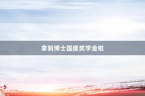 拿到博士国度奖学金啦