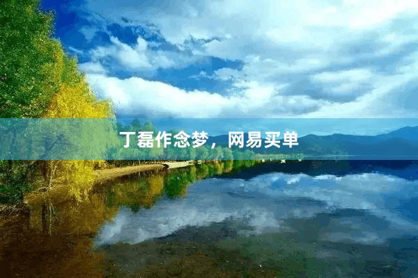 丁磊作念梦，网易买单