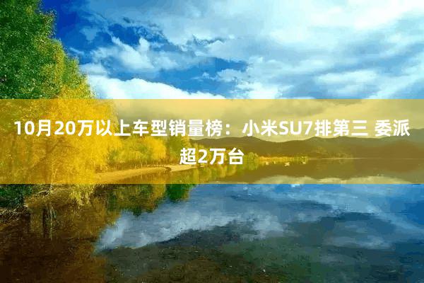 10月20万以上车型销量榜：小米SU7排第三 委派超2万台