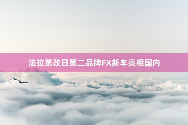 法拉第改日第二品牌FX新车亮相国内