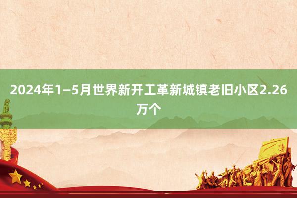 2024年1—5月世界新开工革新城镇老旧小区2.26万个