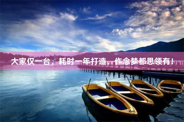 大家仅一台，耗时一年打造，作念梦都思领有！
