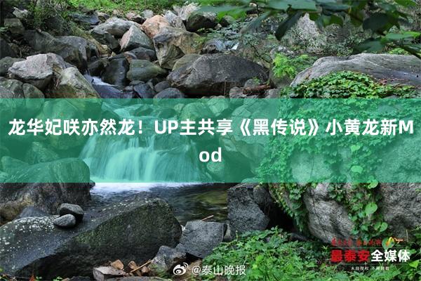龙华妃咲亦然龙！UP主共享《黑传说》小黄龙新Mod