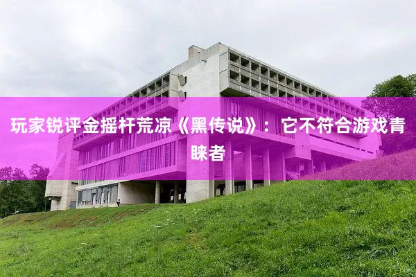 玩家锐评金摇杆荒凉《黑传说》：它不符合游戏青睐者