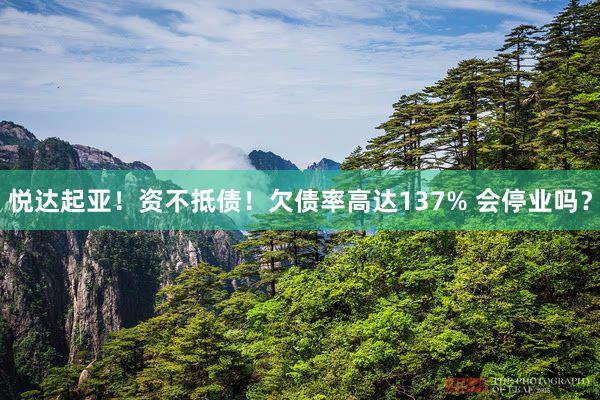 悦达起亚！资不抵债！欠债率高达137% 会停业吗？