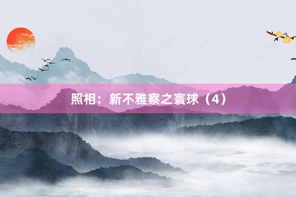 照相：新不雅察之寰球（4）